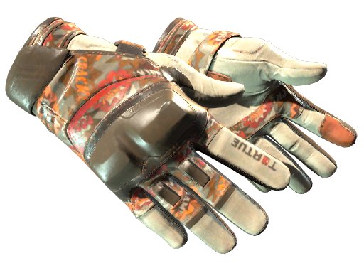 CS2 Moto Gloves | POW!