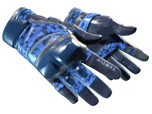 CS2 Moto Gloves | Polygon