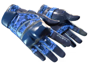 Moto Gloves | Polygon