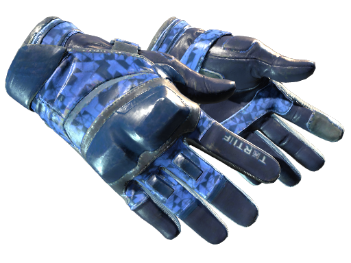 CS2 Moto Gloves | Polygon - 1