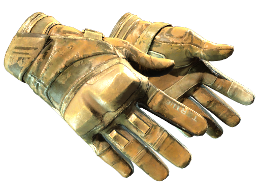 CS2 Moto Gloves | Transport - 2