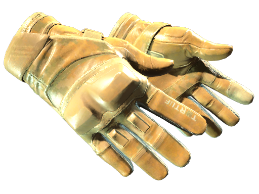 CS2 Moto Gloves | Transport