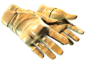 Moto Gloves | Transport