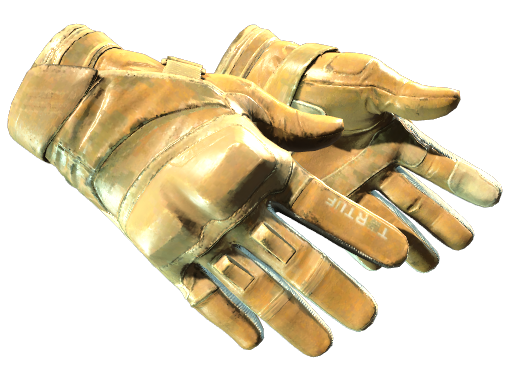 CS2 Moto Gloves | Transport - 1