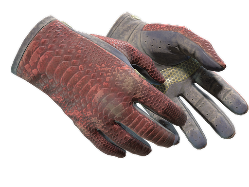 Driver Gloves | Dragon Fists