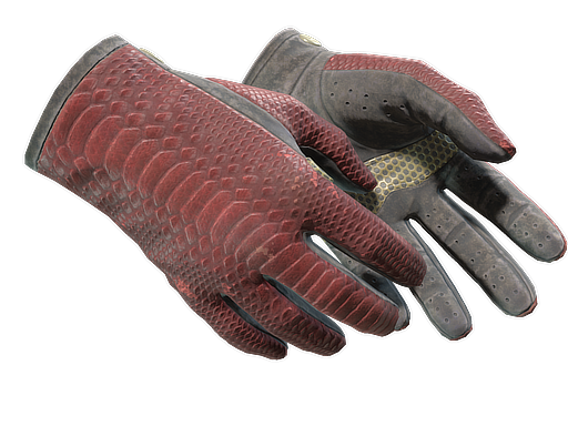 Driver Gloves | Dragon Fists | CS2 Market Stats & Analysis