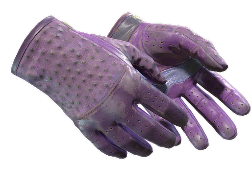 Driver Gloves | Plum Quill | CS2 Market Stats & Analysis
