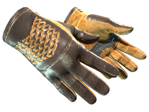 CS2 Driver Gloves | Overtake - 1