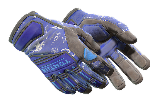 Specialist Gloves | Cloud Chaser - CS2 glove Market Data
