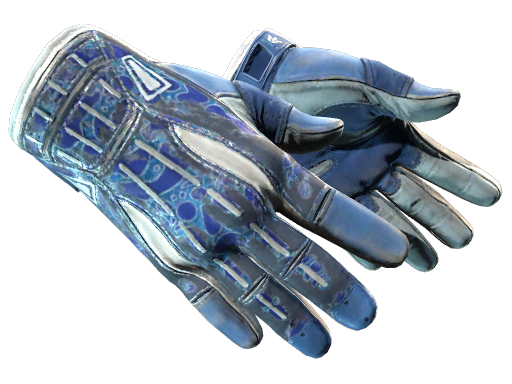 CS2 Sport Gloves | Amphibious - 2