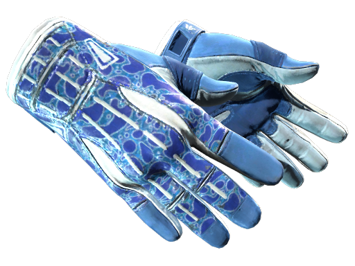 CS2 Sport Gloves | Amphibious