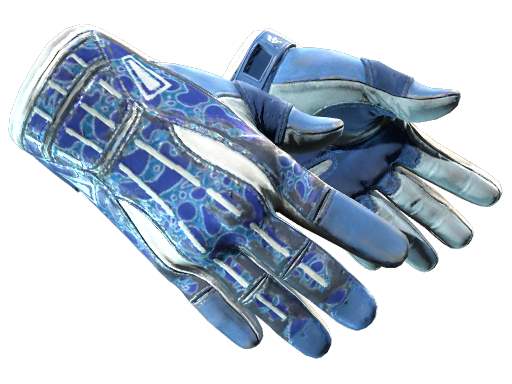 ★ Sport Gloves | Amphibious (Field-Tested)
