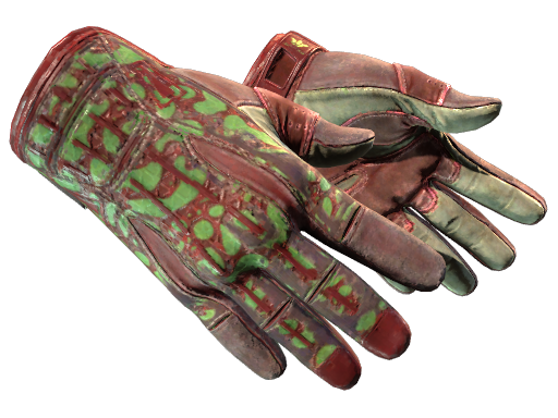 CS2 Sport Gloves | Bronze Morph - 2