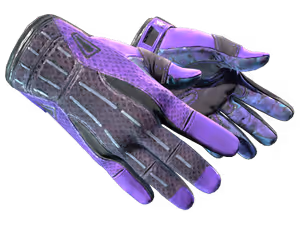 Sport Gloves | Pandora's Box