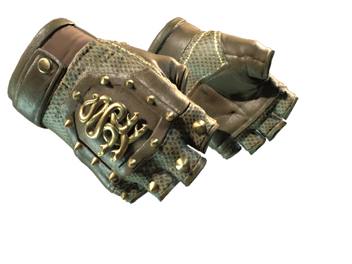 CS2 Hydra Gloves | Mangrove