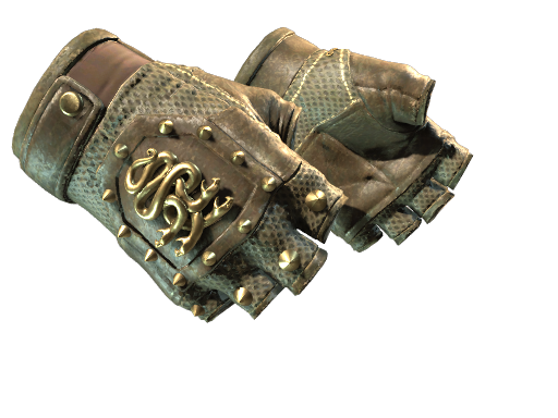 CS2 Hydra Gloves | Mangrove - 1