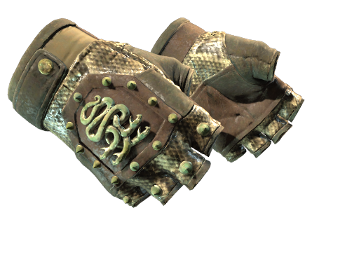 CS2 Hydra Gloves | Rattler - 1