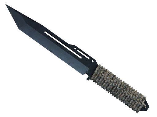 CS2 undefined Special Items