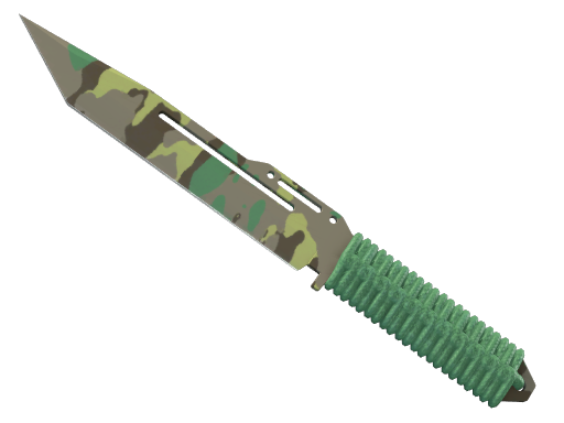 CS2 undefined Special Items