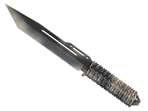 CS2 undefined Special Items