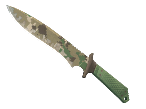 CS2 Classic Knife | Forest DDPAT - 1
