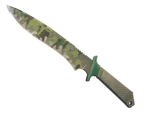 CS2 Classic Knife | Boreal Forest - 2