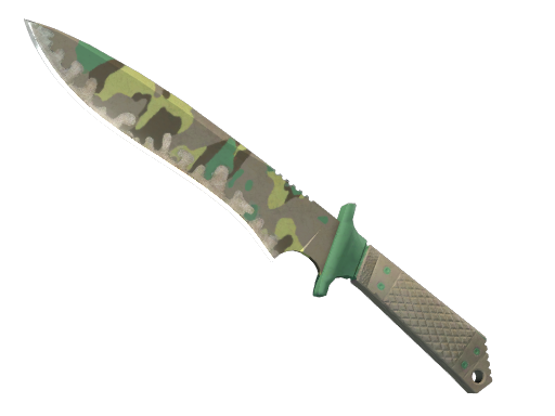 CS2 Classic Knife | Boreal Forest - 1