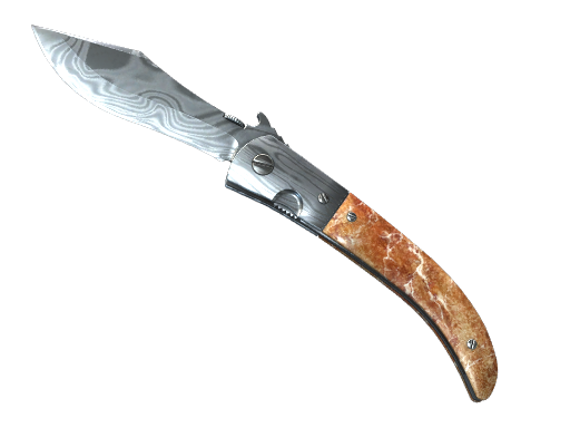 CS2 undefined Special Items