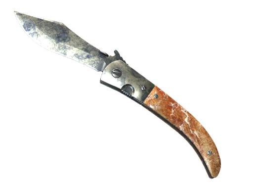 CS2 undefined Special Items