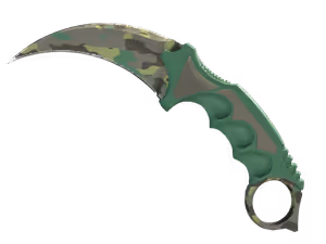 Karambit | Boreal Forest