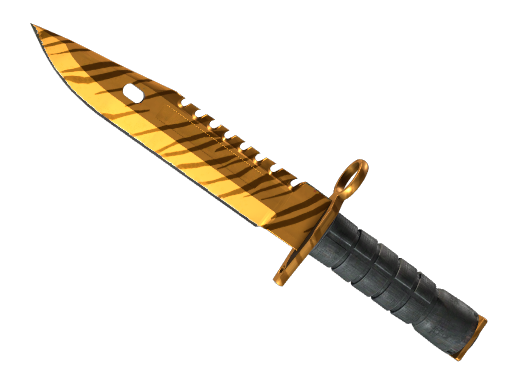 CS2 undefined Special Items
