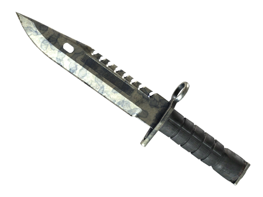 CS2 M9 Bayonet | Stained - 2