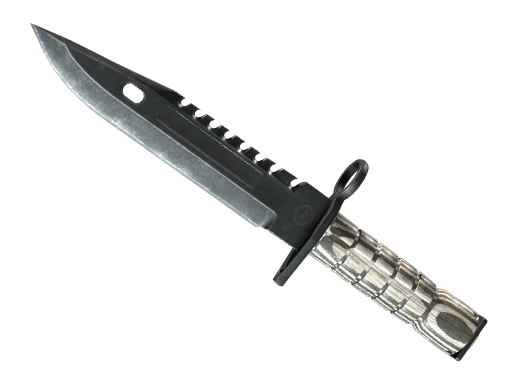 CS2 undefined Special Items