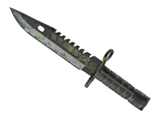 CS2 M9 Bayonet | Boreal Forest - 2