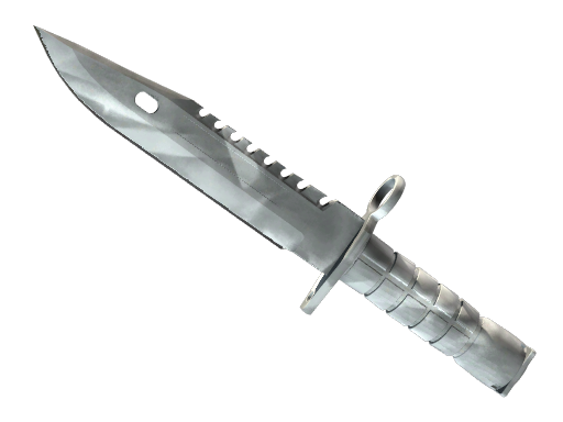 CS2 undefined Special Items