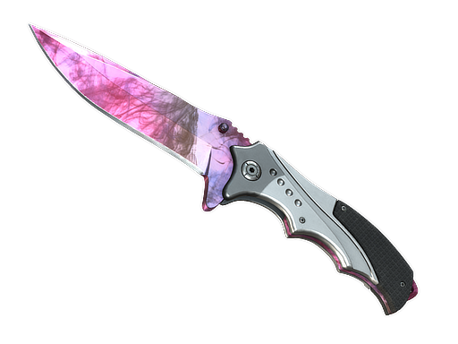 Nomad Knife | Doppler - Phase 2 CSGO & CS2 Container
