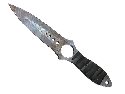 CS2 Skeleton Knife | Rust Coat