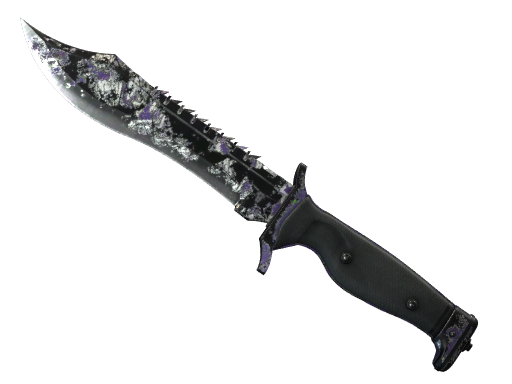 CS2 Bowie Knife | Freehand - 2