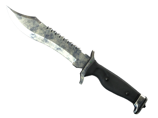 CS2 Bowie Knife | Stained - 2