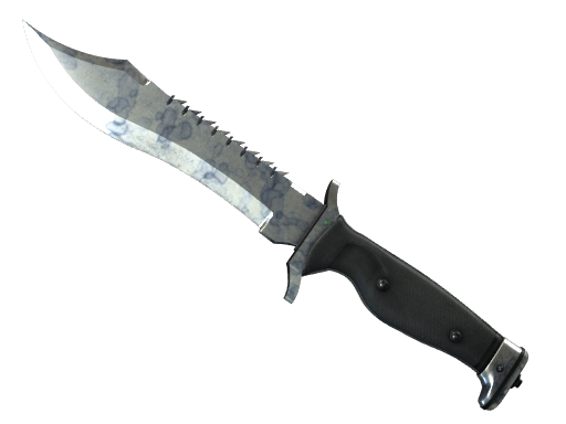 CS2 Bowie Knife | Stained - 1