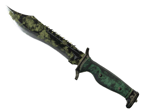 CS2 Bowie Knife | Boreal Forest - 2