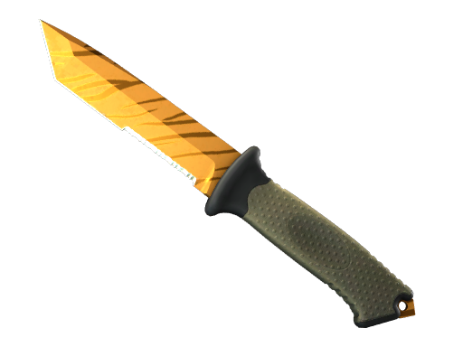 CS2 Ursus Knife | Tiger Tooth