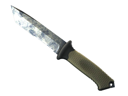 CS2 Ursus Knife | Stained - 2