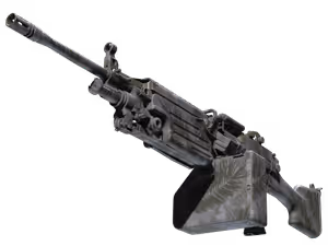M249 | Midnight Palm