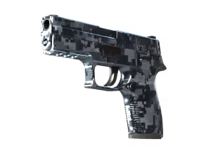P250 | Steel Disruption