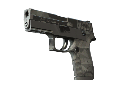 CS2 P250 | Facets - 2