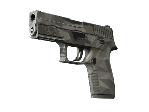 CS2 P250 | Facets - 1