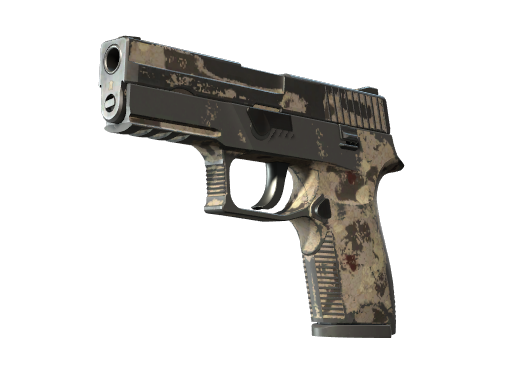 CS2 P250 | Black & Tan - 2