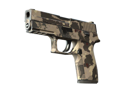 CS2 P250 | Black & Tan - 1