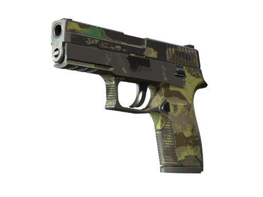 CS2 P250 | Boreal Forest - 2